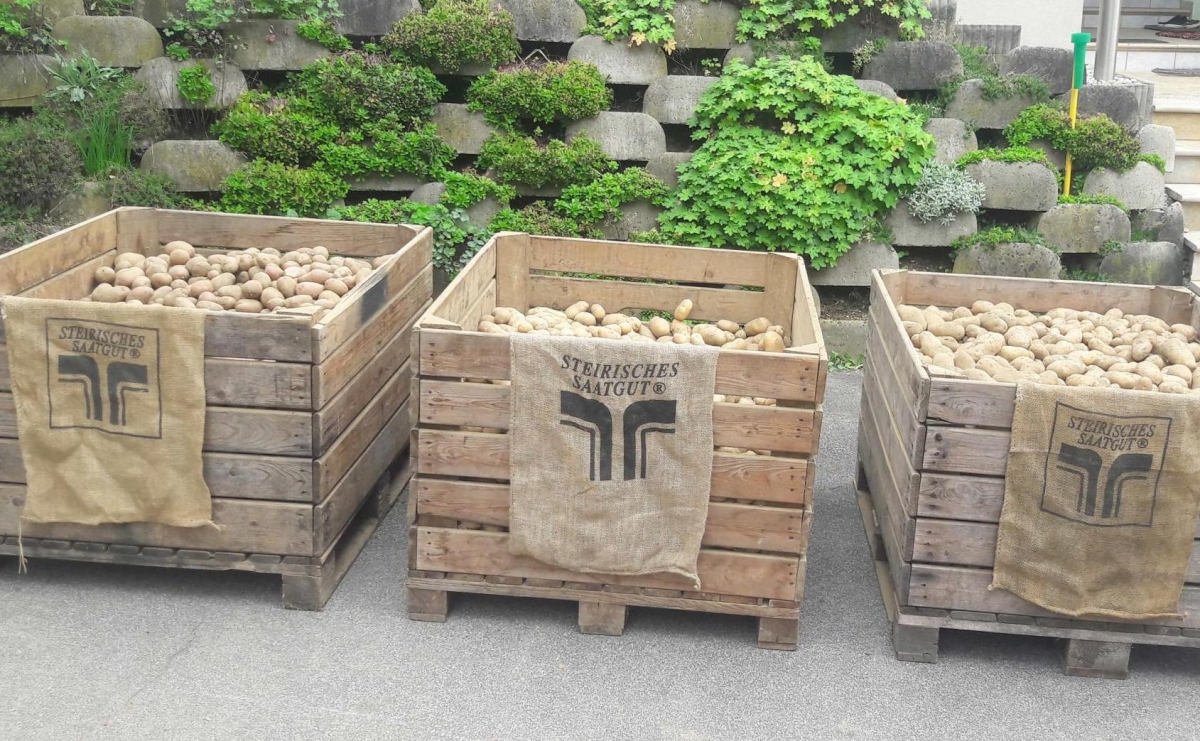 , Copyright: Meixner Kartoffel