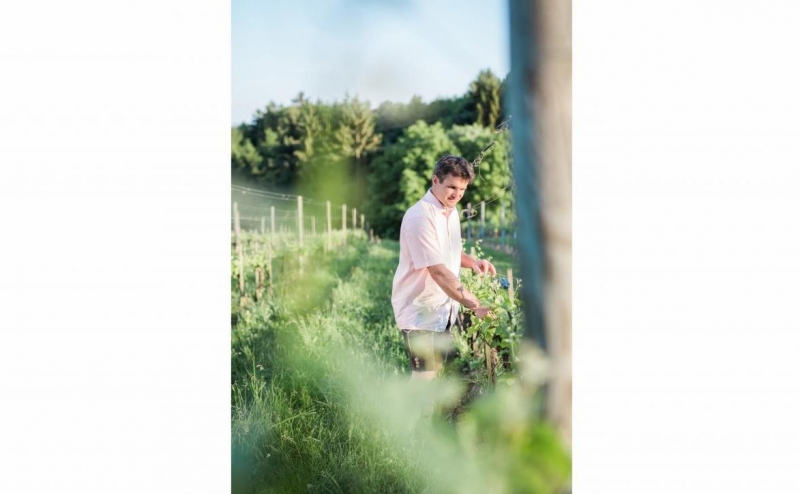 , Copyright: Leitner Weinbau